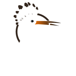 Hoopoepush